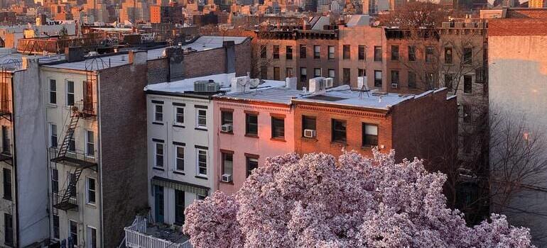 colorful buildings