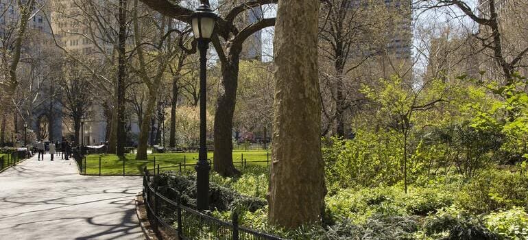 person walking through the park and thinking which one is better for a pet, Manhattan vs. Brooklyn