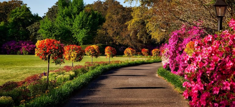 Image of a park