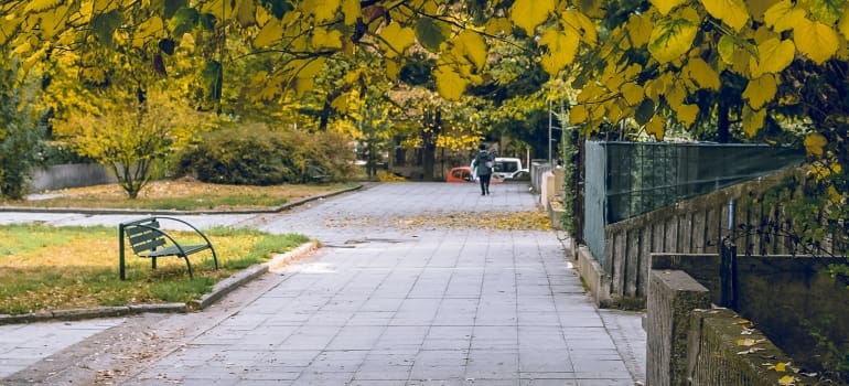 bench in the park