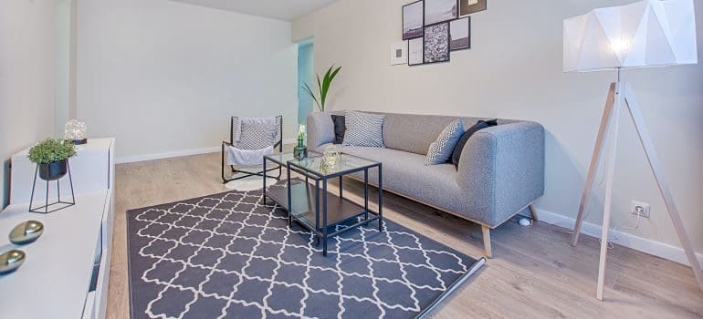 area rug is a good way of heating your NYC apartment