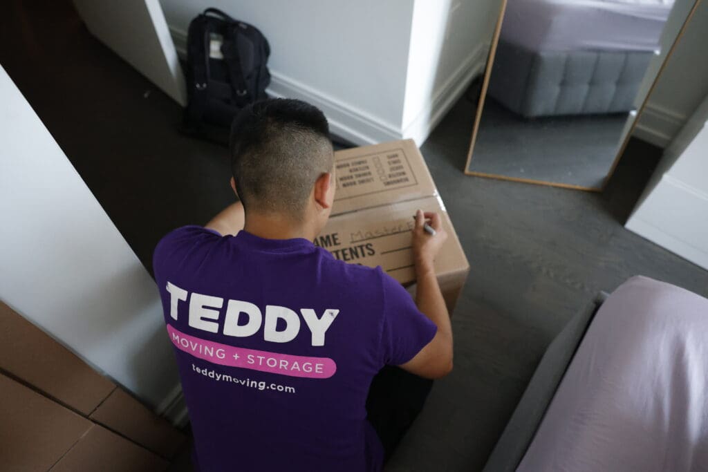 Teddy moving long distance